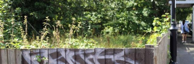 Photo of fence and street in Crystal Palace area