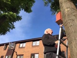 Installation of bird box