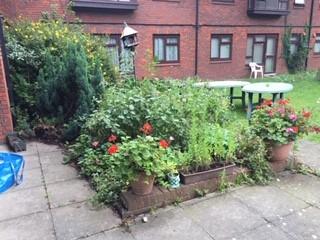 Overgrown planter