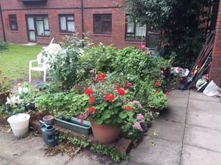Overgrown Planter