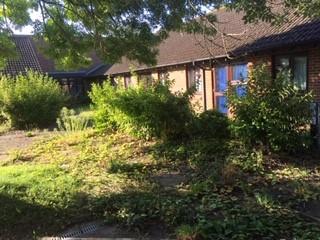Overgrown garden