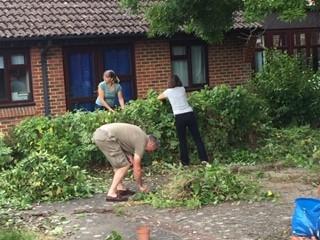 Garden clean up