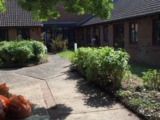 Tidy garden