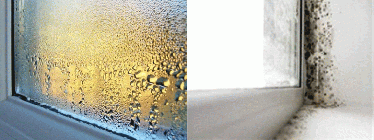 Images of condensation and black mould