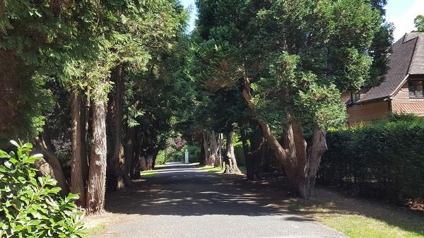 Photograph of the view along Birch Lane