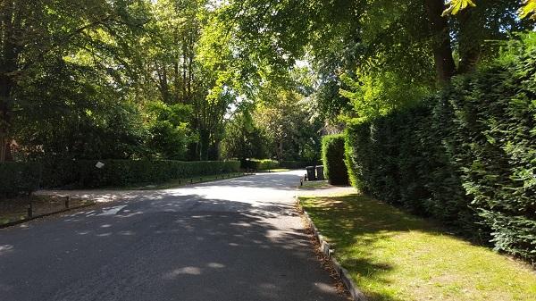 Photograph of the view along Woodcote Lane