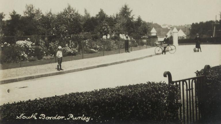 Photgraph of the South Border Purley