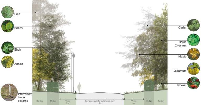 Trees in Woodcote Lane