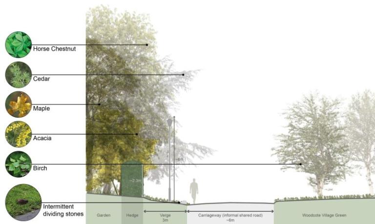 Trees in upper Woodcote Village