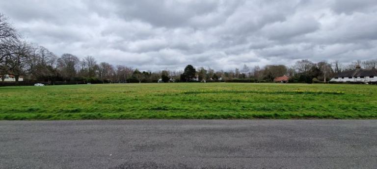 The village green 