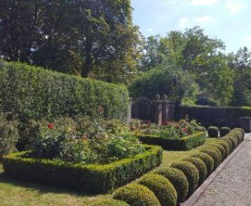 Photgraph of living boundaries in Rose Walk