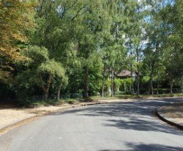 Libing borders on Silver Lane
