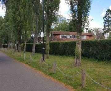 poplar trees along the Promenade de verdun