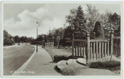 old photograph of Rose Walk