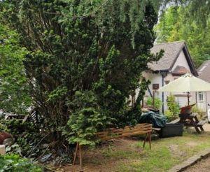  47 Furze Lane, Christmas Cottage