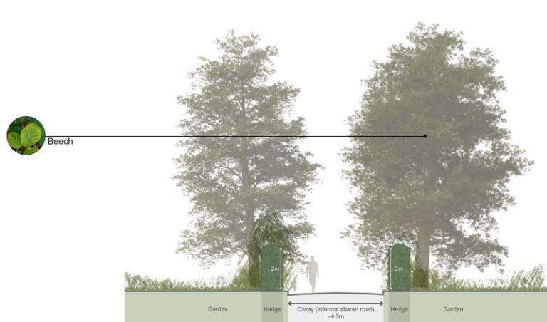 Trees in Foxglove Gardens