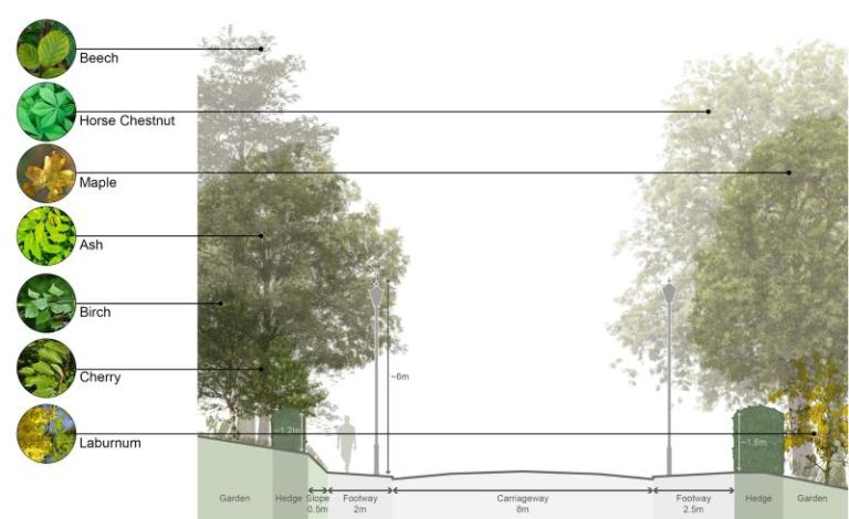 Trees in Furze LAne