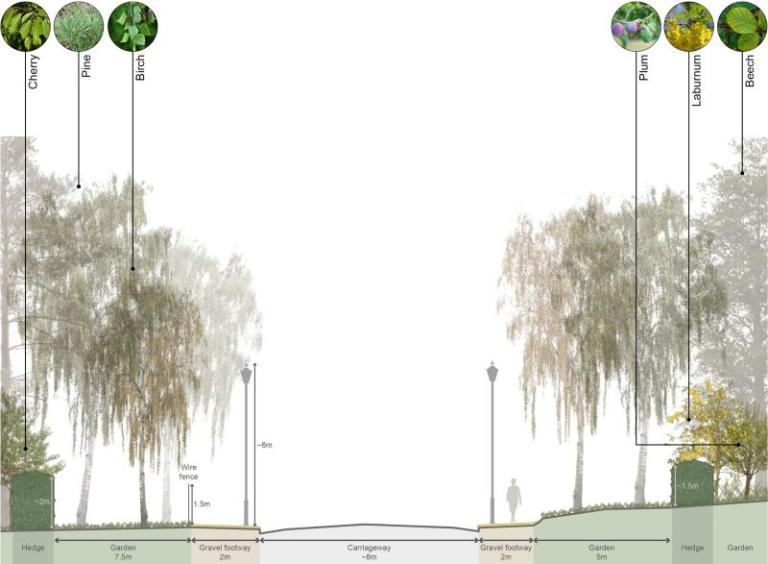 Trees in Silver Lane