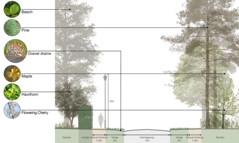 Trees in Briar Hill