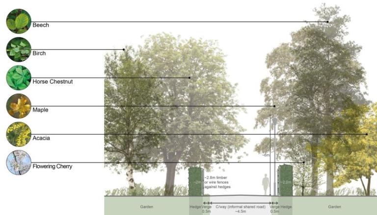trees in Farm Drive