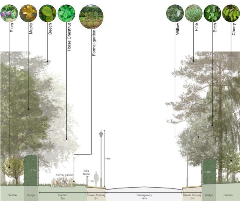Trees in the South Border