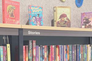 Photo of books on shelves