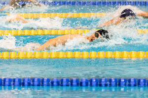 swimmers in a pool