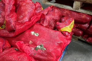 Red sacks of onions in a food warehouse covered in bird droppings