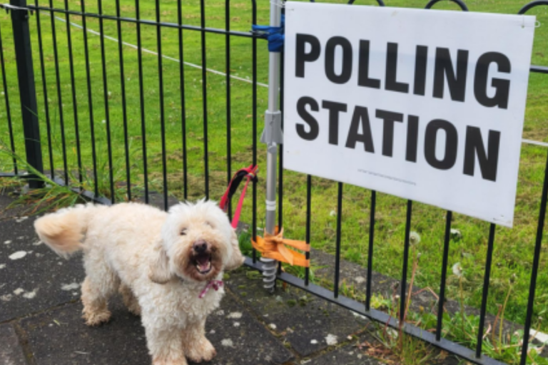 Polling station placard with dog
